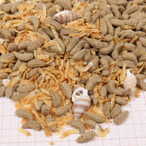JBL PROTERRA Molluscus – Mangime Complementare per Tartarughe 250 ml JBL PROTERRA Molluscus – Mangime Complementare per Tartarughe 250 ml